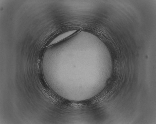 X0000087310650200705180947