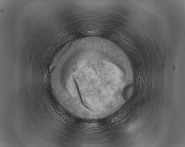 X0000087310651200705180947