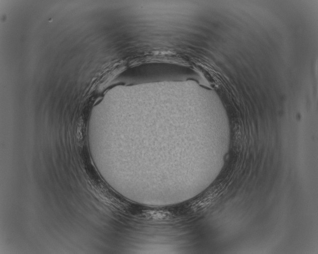 X0000087310654200705180947