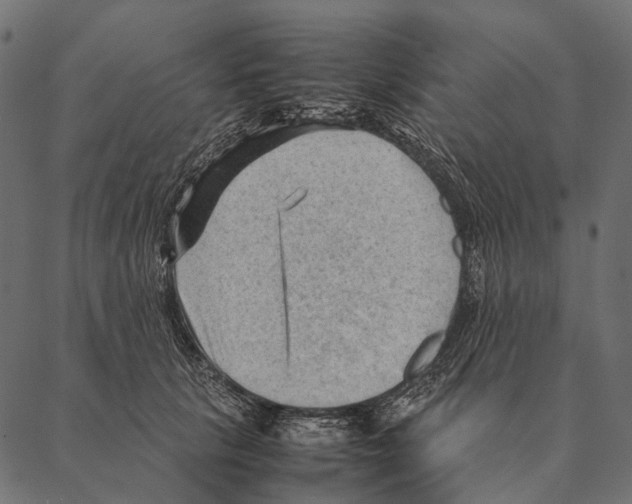 X0000087310657200705180947