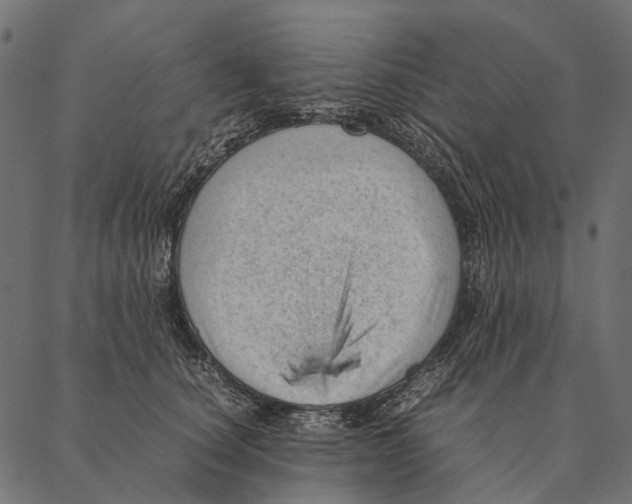 X0000087310660200705180947