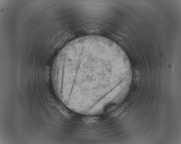 X0000087310664200705180947