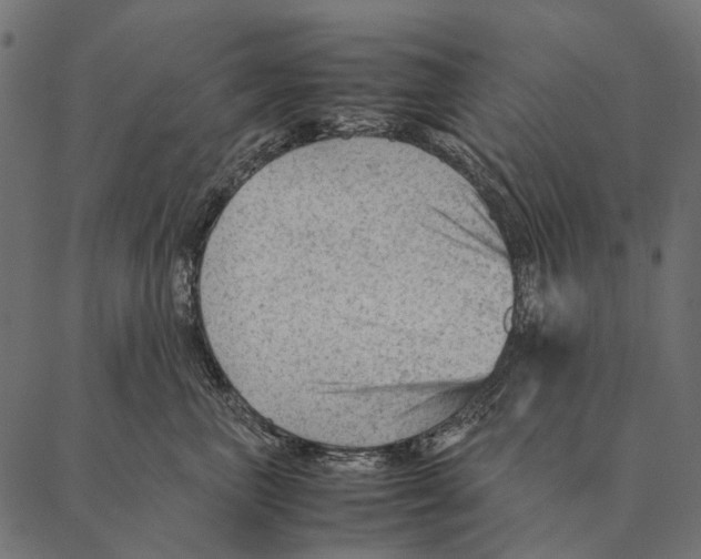 X0000087310667200705180947