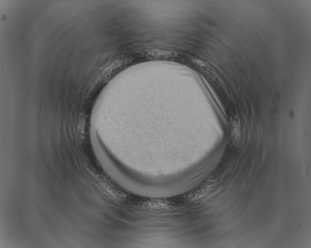 X0000087310668200705180947