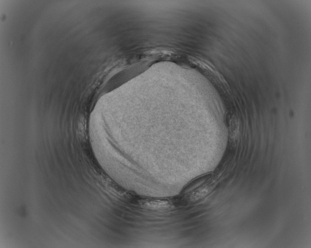 X0000087310669200705180947