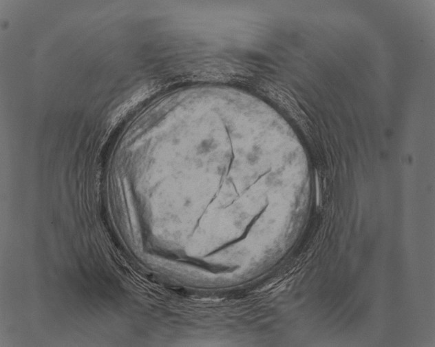 X0000087310675200705180946