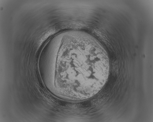 X0000087310679200705180946