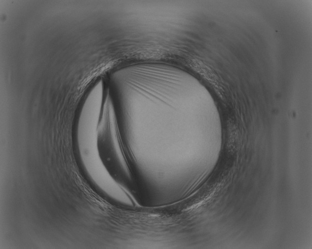 X0000087310681200705180946