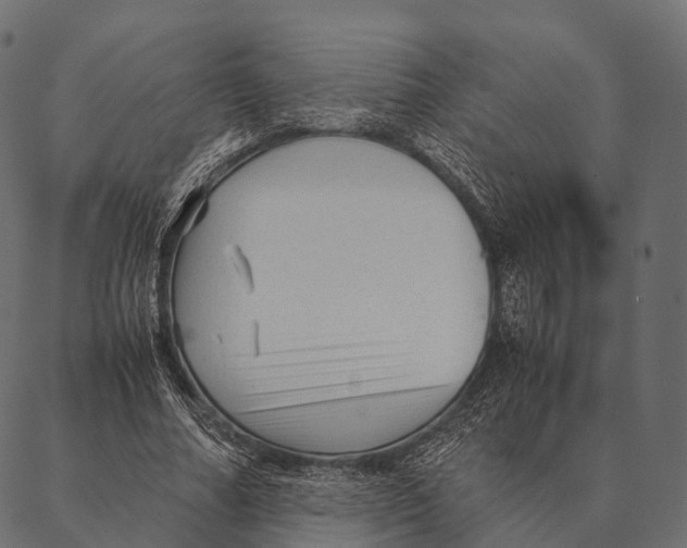 X0000087310682200705180946