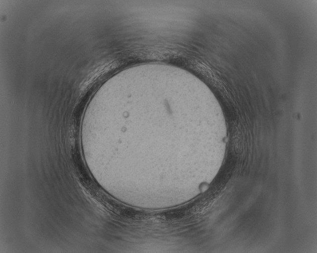 X0000087310683200705180946