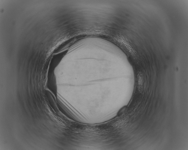 X0000087310684200705180946