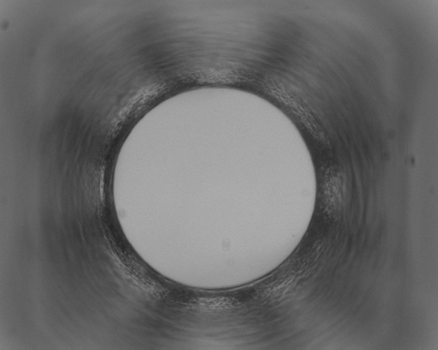 X0000087310686200705180946