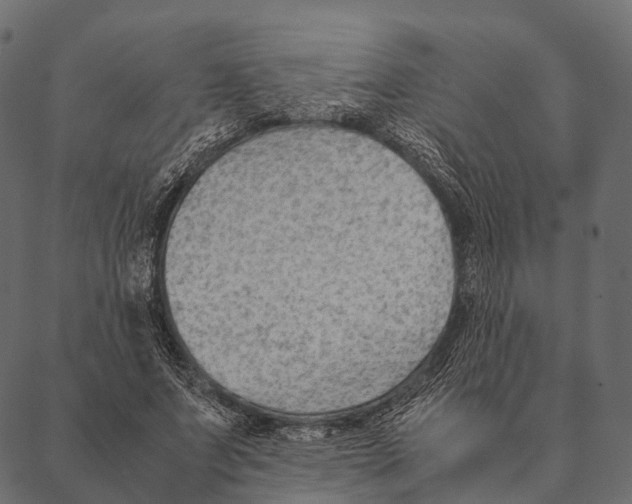 X0000087310687200705180946