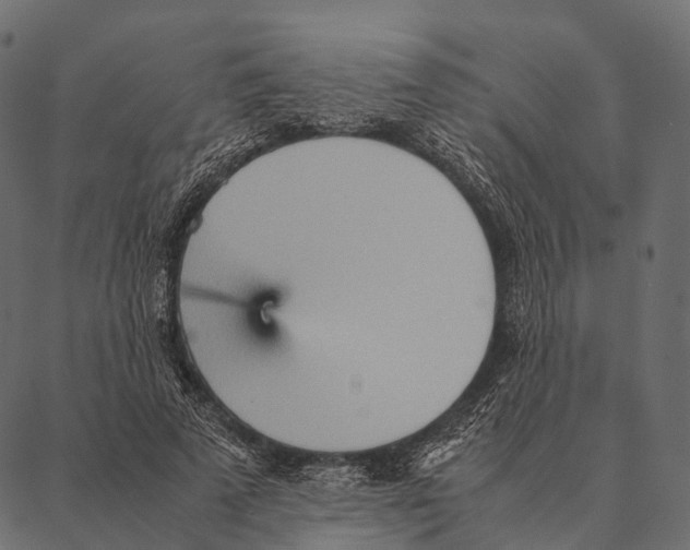 X0000087310689200705180946