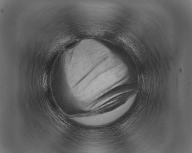 X0000087310692200705180946