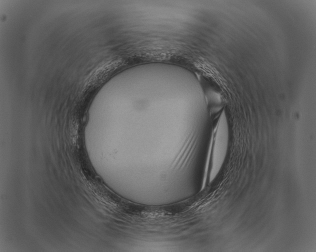 X0000087310693200705180946