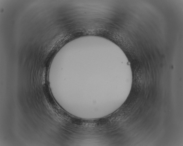 X0000087310694200705180946