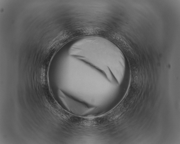 X0000087310696200705180946