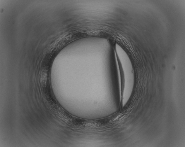 X0000087310697200705180946