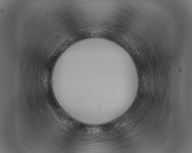 X0000087310698200705180946