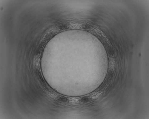 X0000087310701200705180946