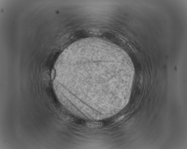 X0000087310707200705180946