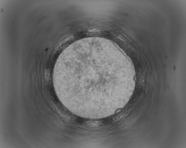 X0000087310711200705180946