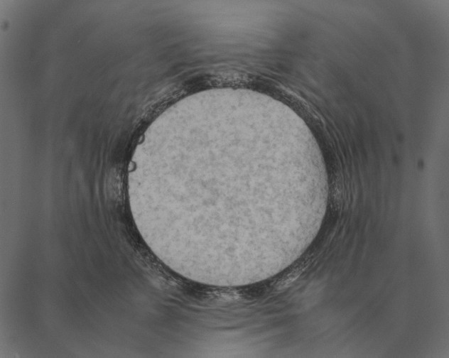 X0000087310715200705180946