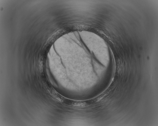 X0000087310716200705180946