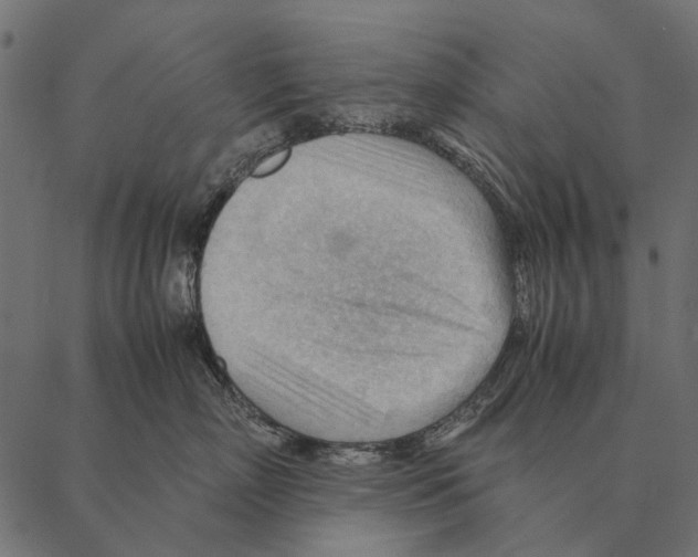 X0000087310718200705180946