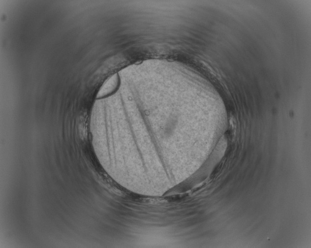 X0000087310719200705180946