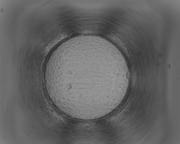 X0000087310721200705180945