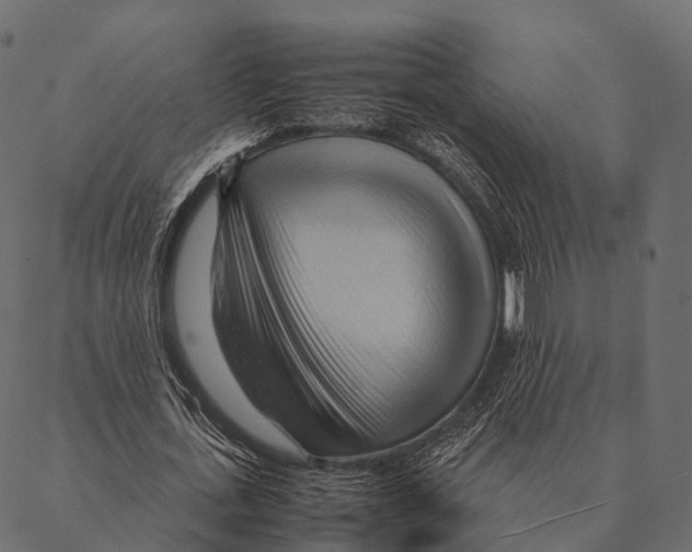 X0000087310723200705180945