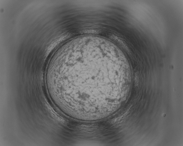 X0000087310725200705180945