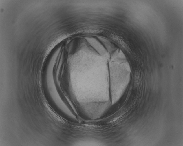 X0000087310726200705180945