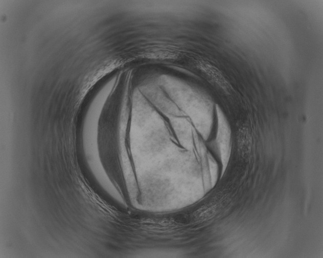 X0000087310727200705180945