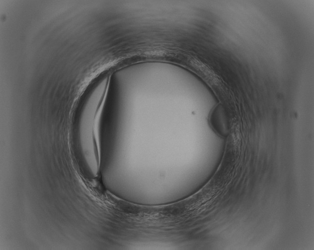 X0000087310728200705180945