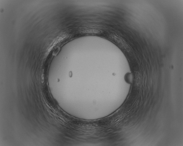 X0000087310731200705180945