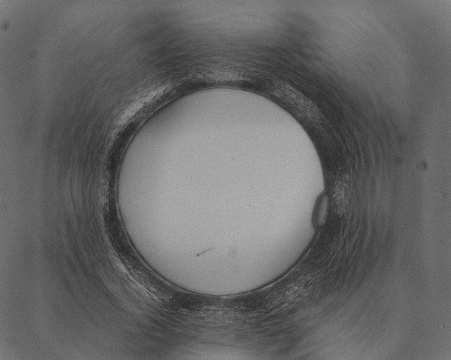 X0000087310732200705180945