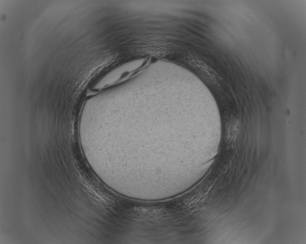 X0000087310733200705180945