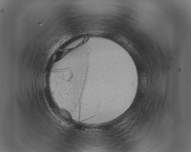 X0000087310734200705180945