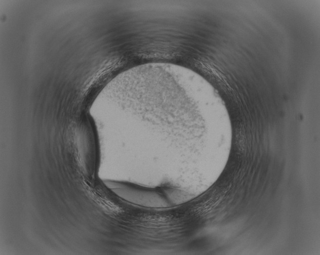 X0000087310735200705180945