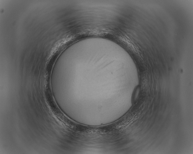 X0000087310736200705180945