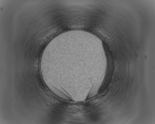 X0000087310737200705180945