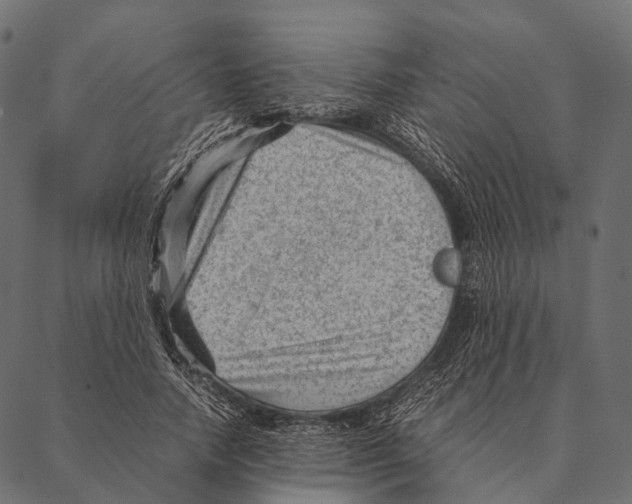 X0000087310738200705180945