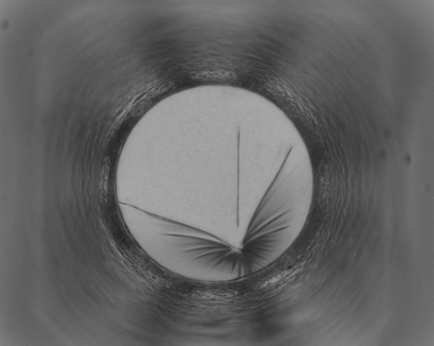 X0000087310739200705180945