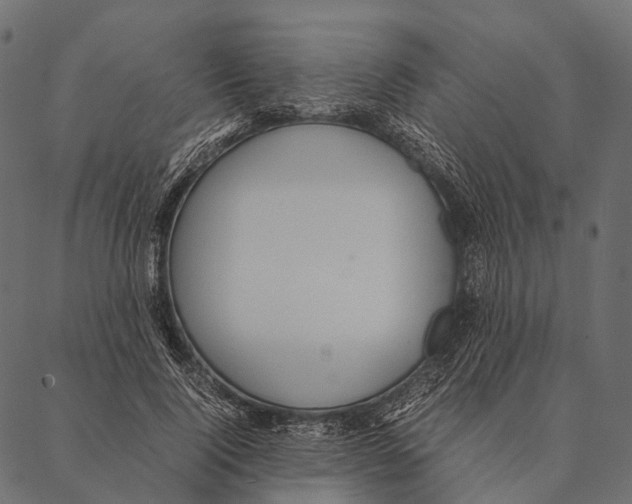 X0000087310740200705180945