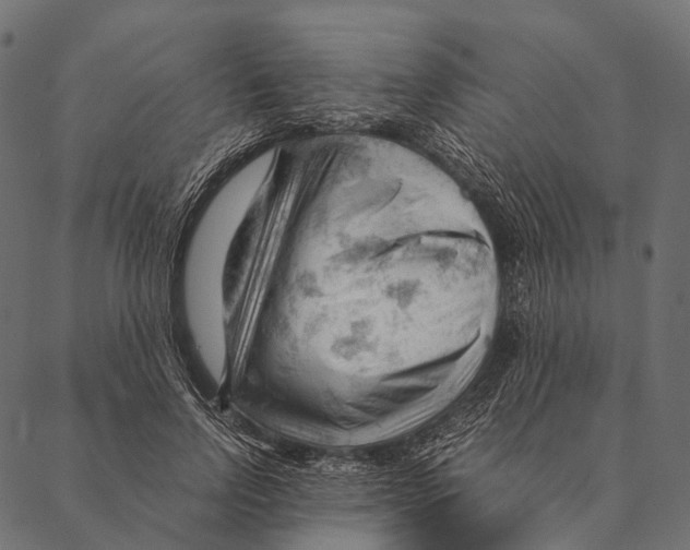 X0000087310742200705180945