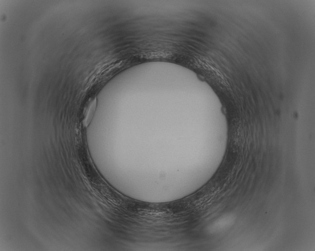 X0000087310743200705180945