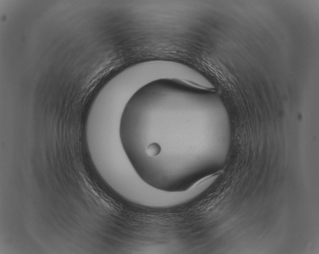 X0000087310744200705180945